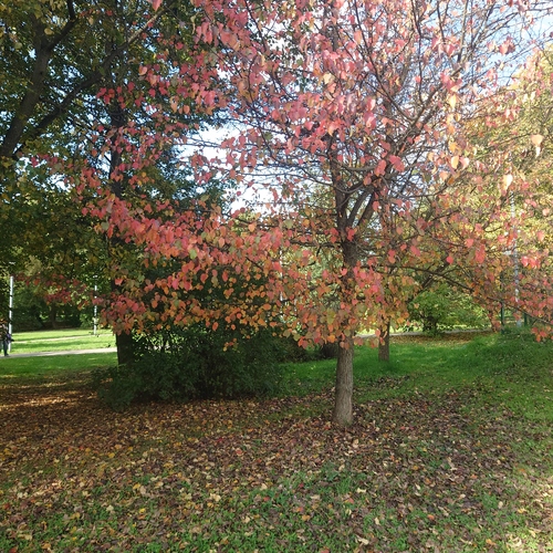 Photo #14084839