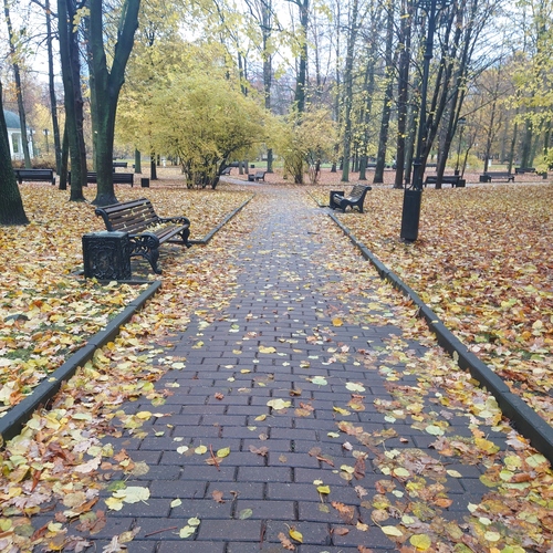 Осенью в парке