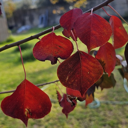 Photo #14084872