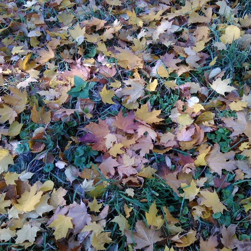 Photo #14084985