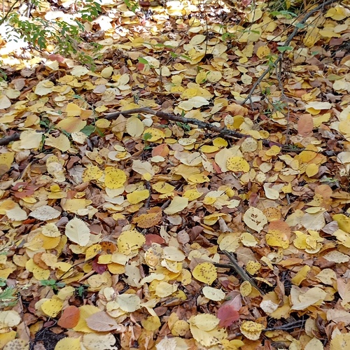 Photo #14084993