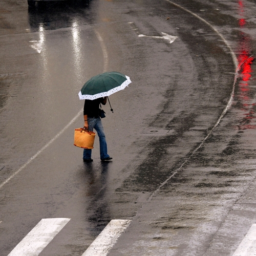 Photo #14085002
