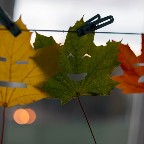 Photo #14085014