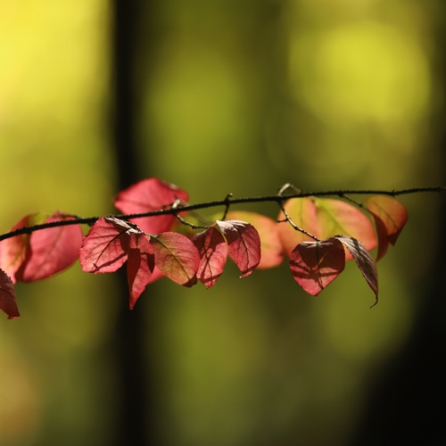 Photo #14085026