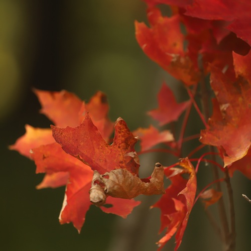 Photo #14085027