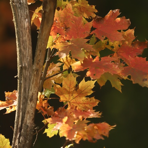 Photo #14085029