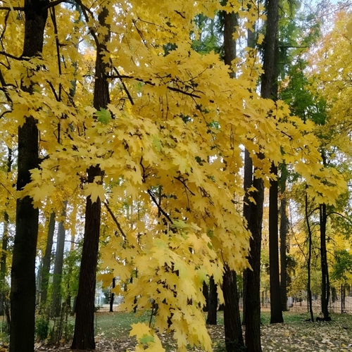 Photo #14085030