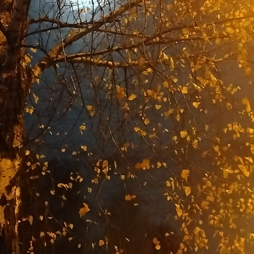 Photo #14085044