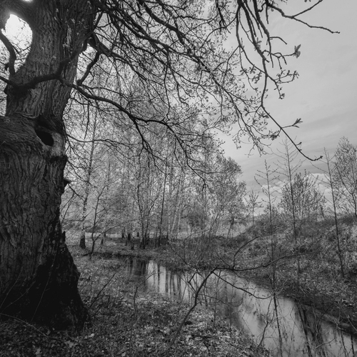 Photo #14085055