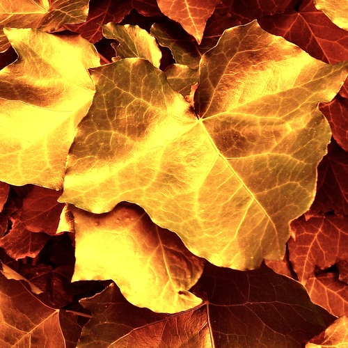 Photo #14085058