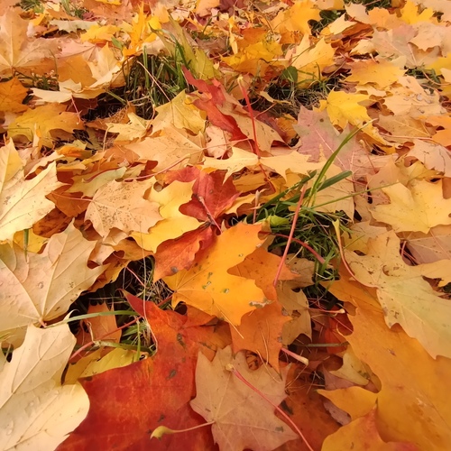 Photo #14085064