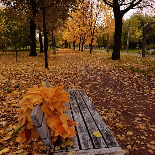 Photo #14085067