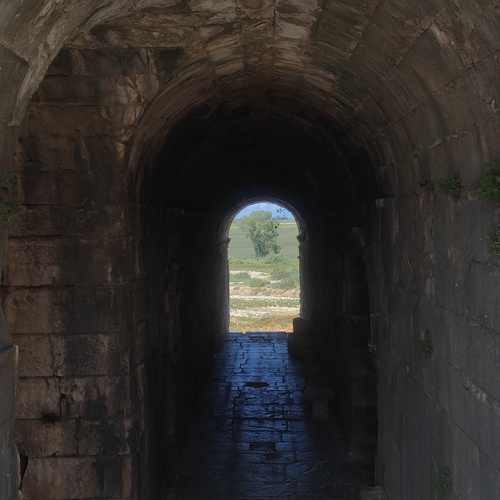 Photo #14085094