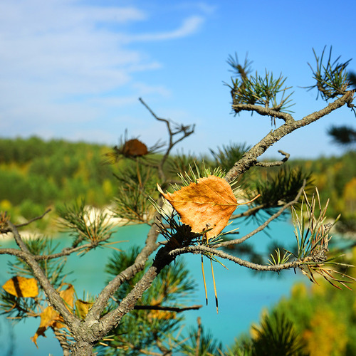 Photo #14085186