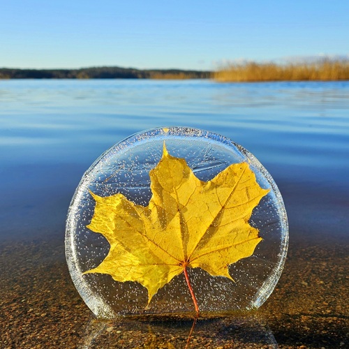Photo #14085227