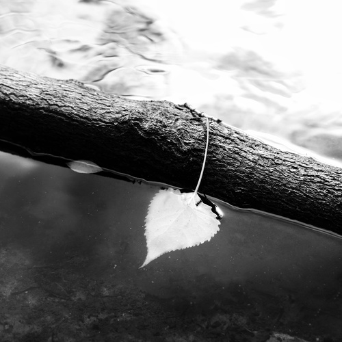 Photo #14085233