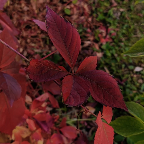 Photo #14085234