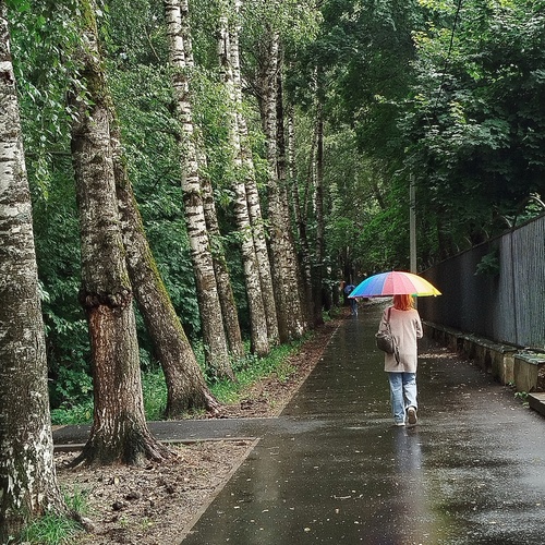 Photo #14085256