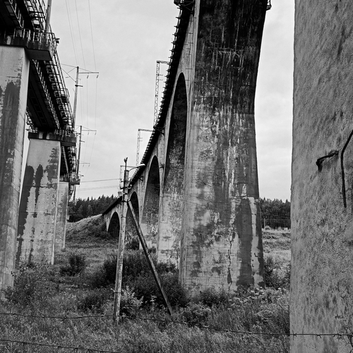 Photo #14085273