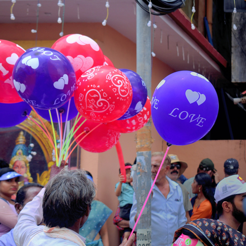 Photo #14085301