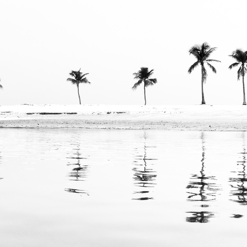 Photo #14085332