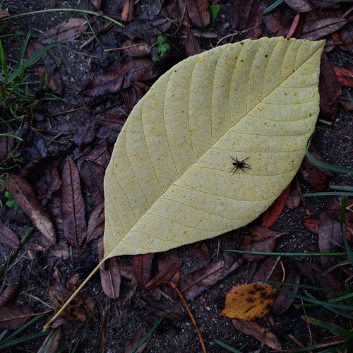 Photo #14085334