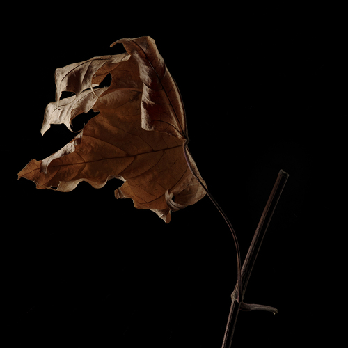 Photo #14085364