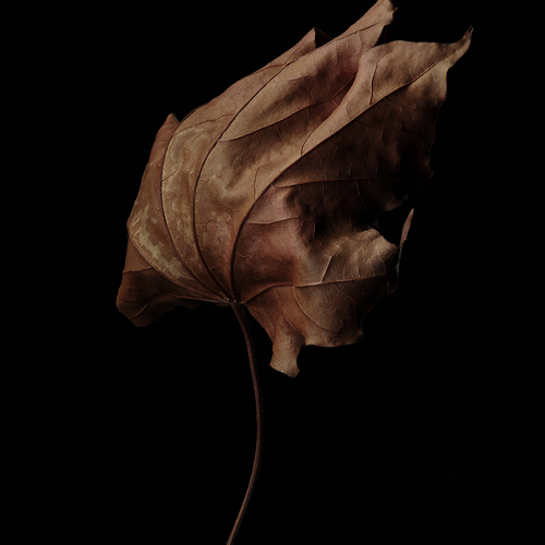 Photo #14085372