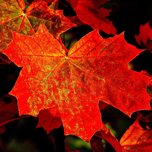 Photo #14085403