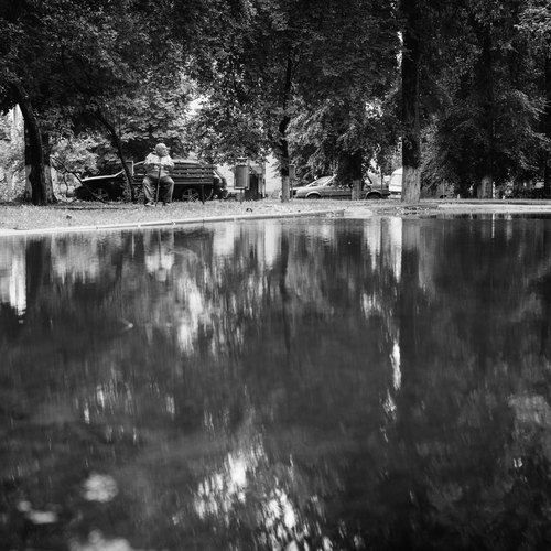 Фотография #14085405