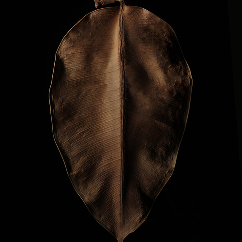 Photo #14085408
