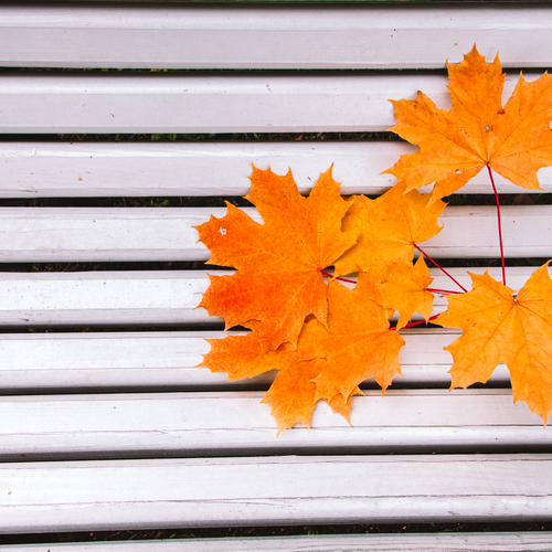 Photo #14085422