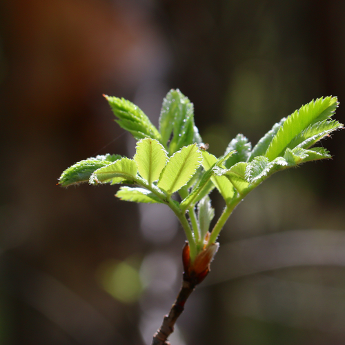 Photo #14085432