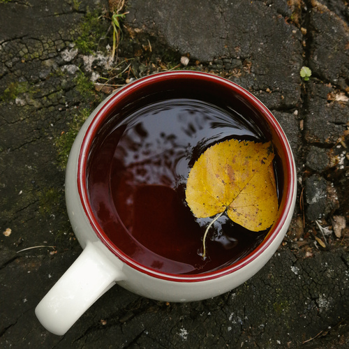 Photo #14085437