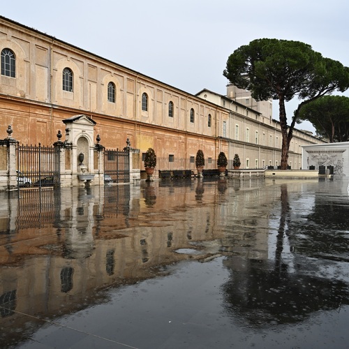 Reflected in the rain