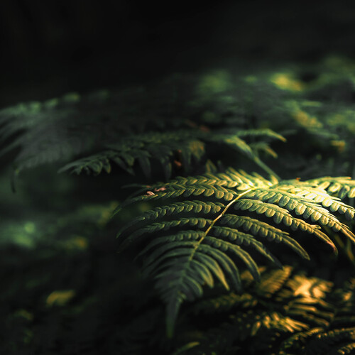 Photo #14085452
