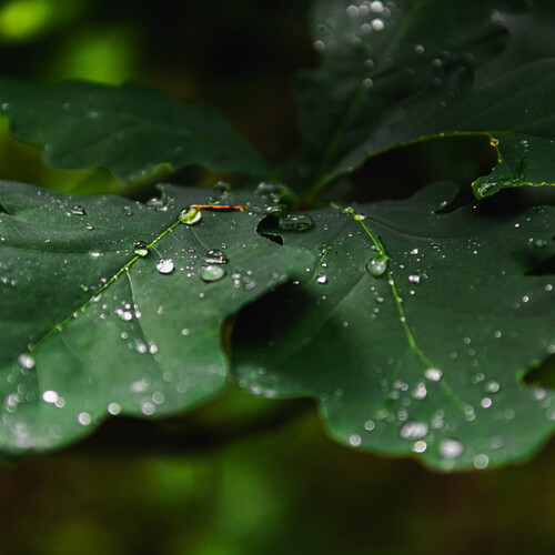 Photo #14085453