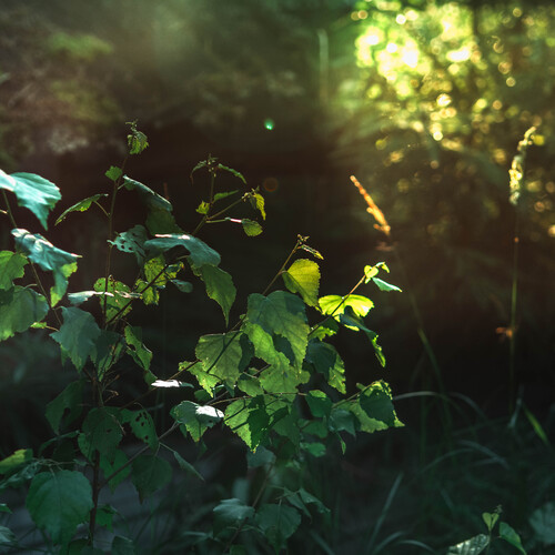 Photo #14085454