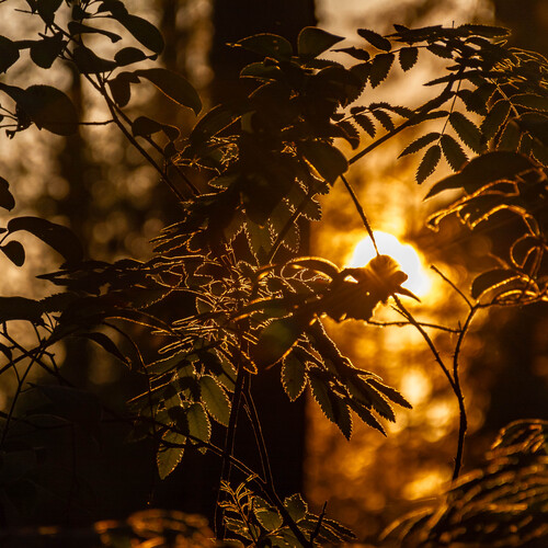 Photo #14085474