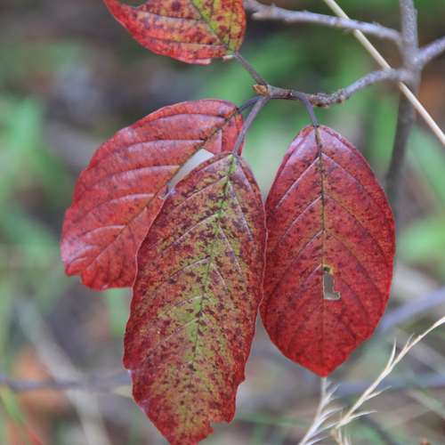 Photo #14085476