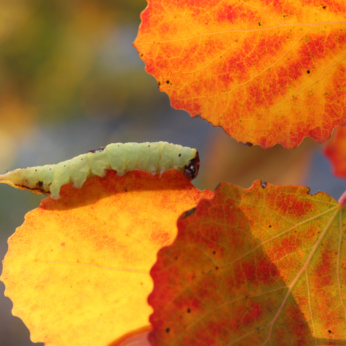Photo #14085489