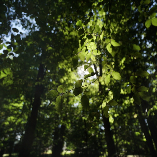 Photo #14085518
