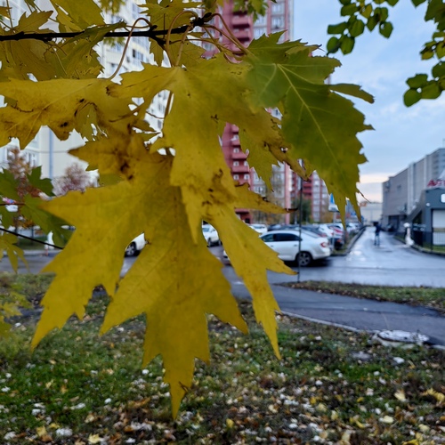 Photo #14085537