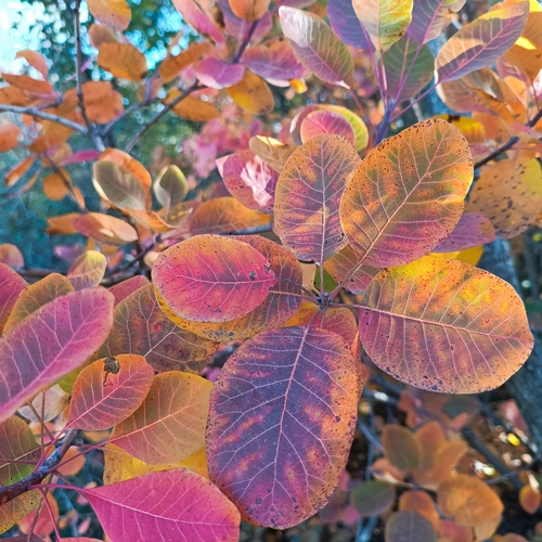 Photo #14085538
