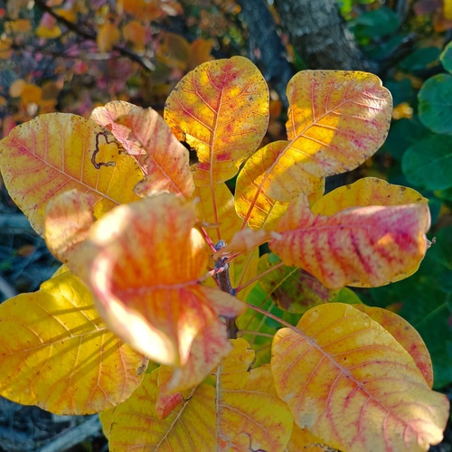 Photo #14085543