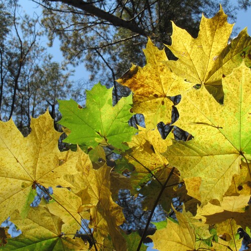 Photo #14085557