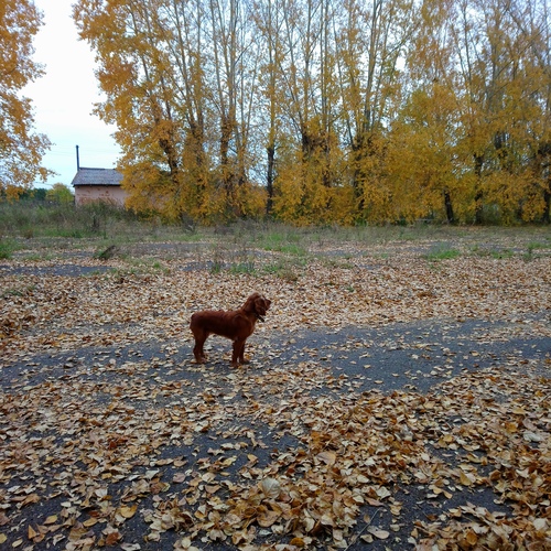 Photo #14085591