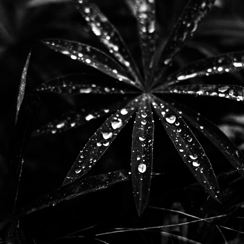Photo #14085598