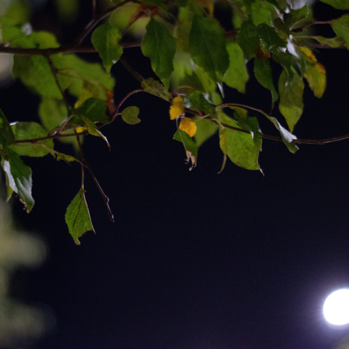 Photo #14085609