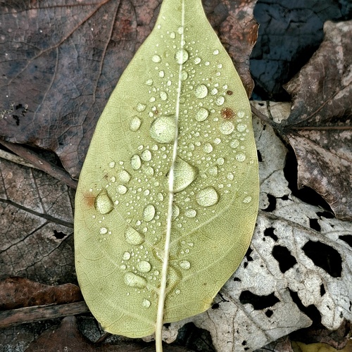 Photo #14085689